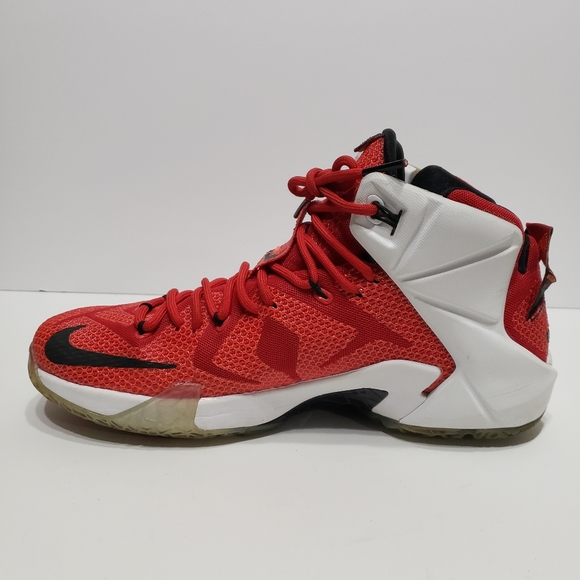 Nike LeBron 12 EP Heart of a Lion Sneakers - Picture 7 of 11